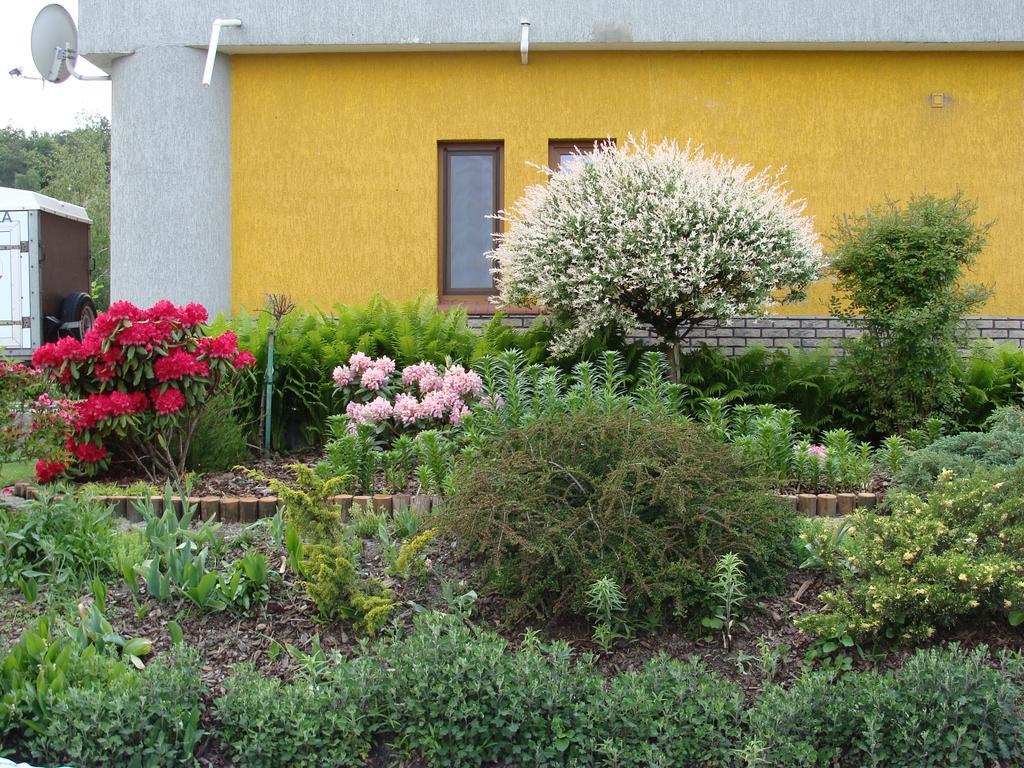 Gospodarstwo Agroturystyczne Ania I Filip Izabelin  外观 照片