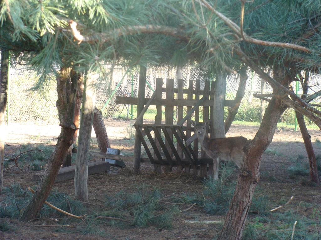 Gospodarstwo Agroturystyczne Ania I Filip Izabelin  外观 照片